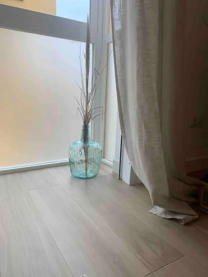 La Guevara De Victoria Apartment City Center 马拉加